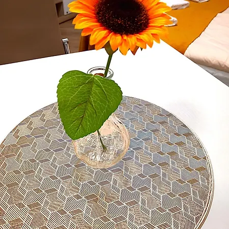 Apartment Kwiatek Przy Centrum, Ogrod, Grill, Blisko Wyciagi I Szlaki Szklarska Poreba